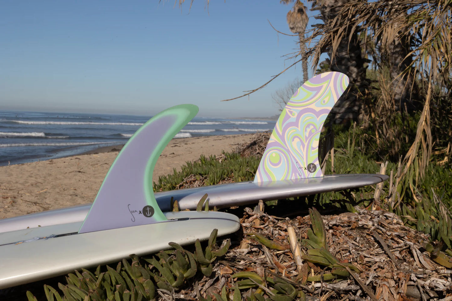 キャプテンフィン x シーア Raked 8.5"